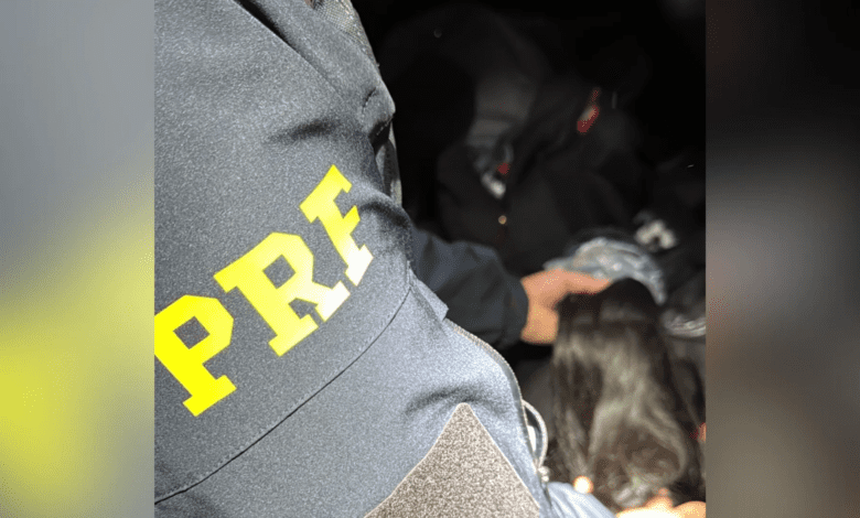 Mais de 160 quilos de cabelo humano são apreendidos no Paraná