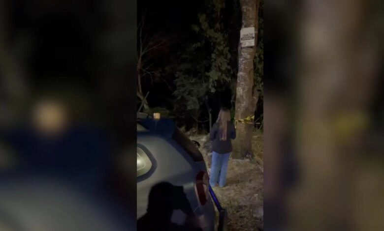 Cachorro perdido leva tutora a fazer descoberta assustadora na RMC