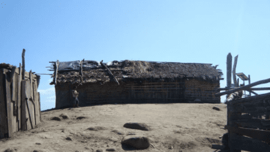 Copel deve fornecer energia à comunidades indígenas do Litoral