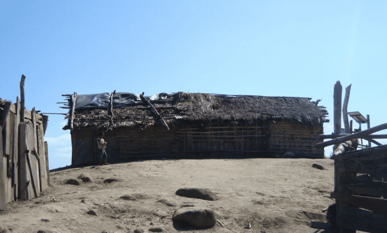 Copel deve fornecer energia à comunidades indígenas do Litoral