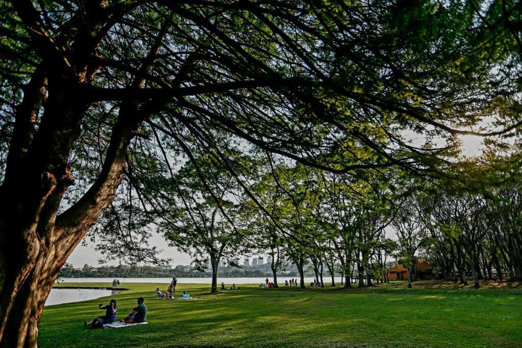 Inverno está no fim! Setembro traz mais calor e chuva para Paraná