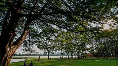 Inverno está no fim! Setembro traz mais calor e chuva para Paraná