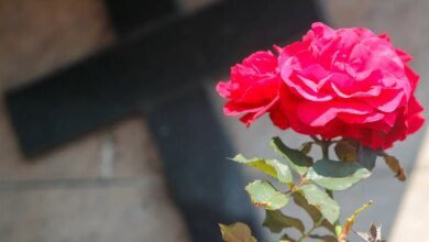 Obituário Curitiba! Lista de falecimentos desta terça-feira (16)