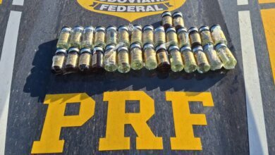 Apreensão de medicamentos sobe 138% nas estradas do Paraná