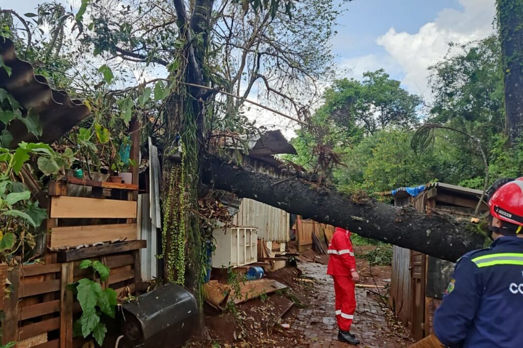 Corpo de Bombeiros do Paraná alerta sobre cuidados diante de fortes chuvas e ventos - O Paraná