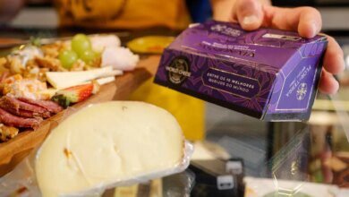 Queijo, requeijão e doce de leite paranaenses podem ficar mais baratos