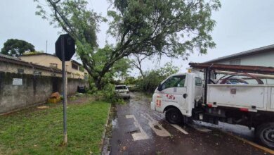 Após ciclone, 30 mil domicílios seguem sem luz no Paraná