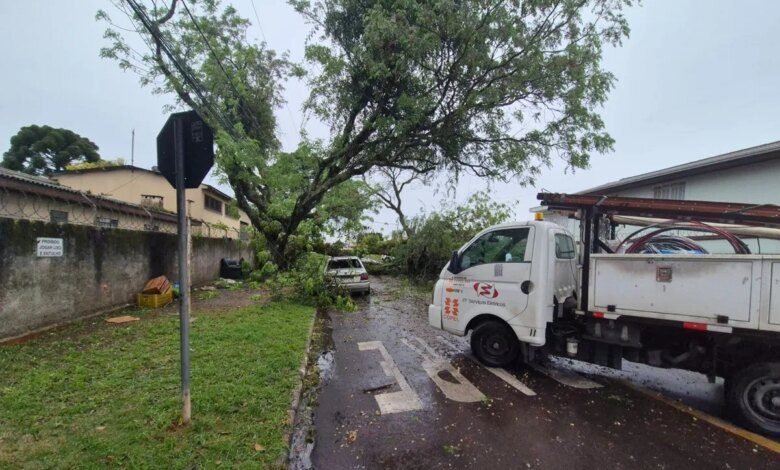 Após ciclone, 30 mil domicílios seguem sem luz no Paraná