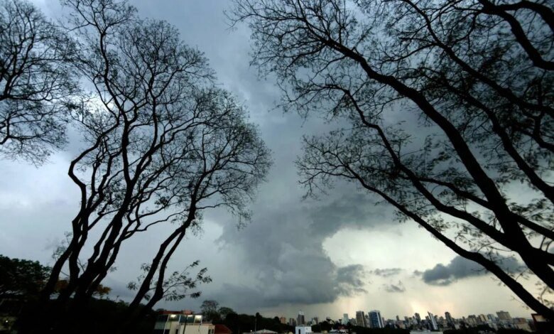 veja os bairros mais afetados