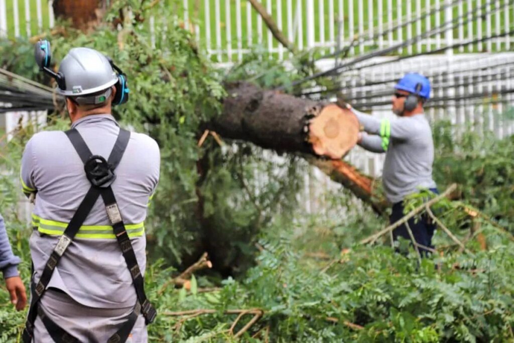 Curitiba enfrenta apagão após temporal que afeta 62 mil imóveis Curitiba sem luz? Temporal deixa 62 mil imóveis sem energia