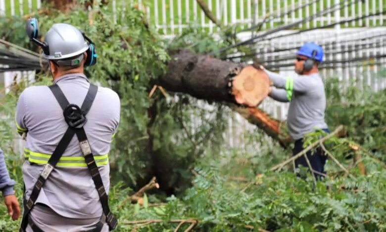 Curitiba sem luz? Temporal deixa 62 mil imóveis sem energia