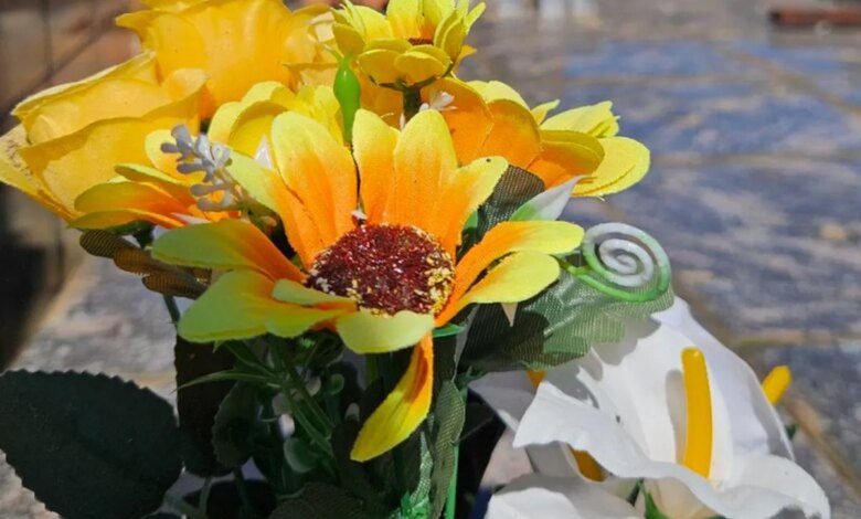 Obituário Curitiba! Lista de falecimentos desta quinta-feira (18)