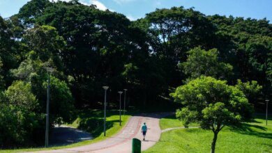 Nova frente fria pode mudar previsão do tempo em Curitiba