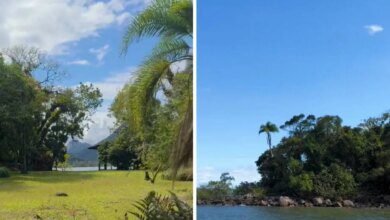 Ilha paradisíaca está à venda no Paraná por R$ 25 milhões