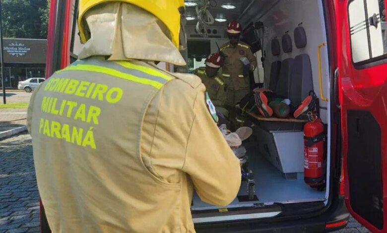 Paraná registra quase 300 ataques de cachorros em 2025