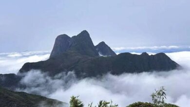 Parque no Paraná vira febre entre trilheiros e muda regras de visitação