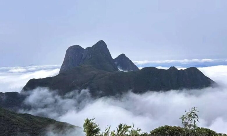 Parque no Paraná vira febre entre trilheiros e muda regras de visitação