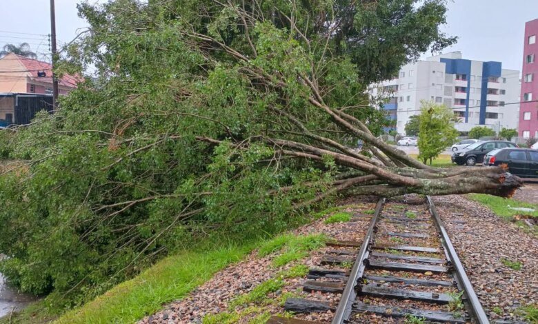 Tempestade em Curitiba derruba árvores em cima da linha de trem