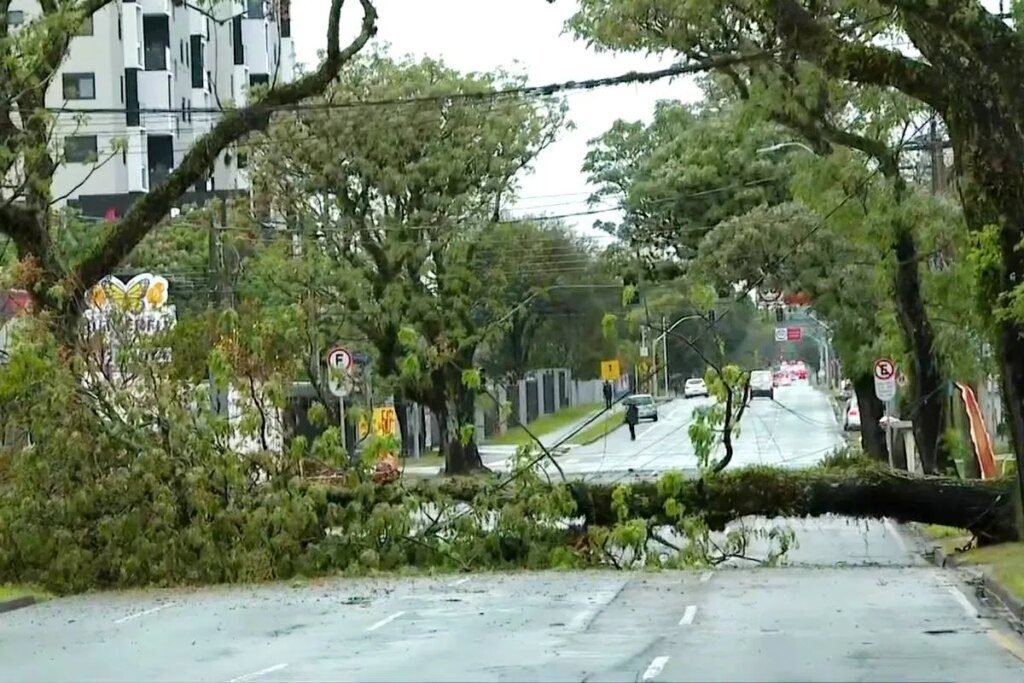 Vento de 74 km/h provoca queda de árvores e falta de energia vento de 74km/h derruba árvores e deixa milhares sem luz