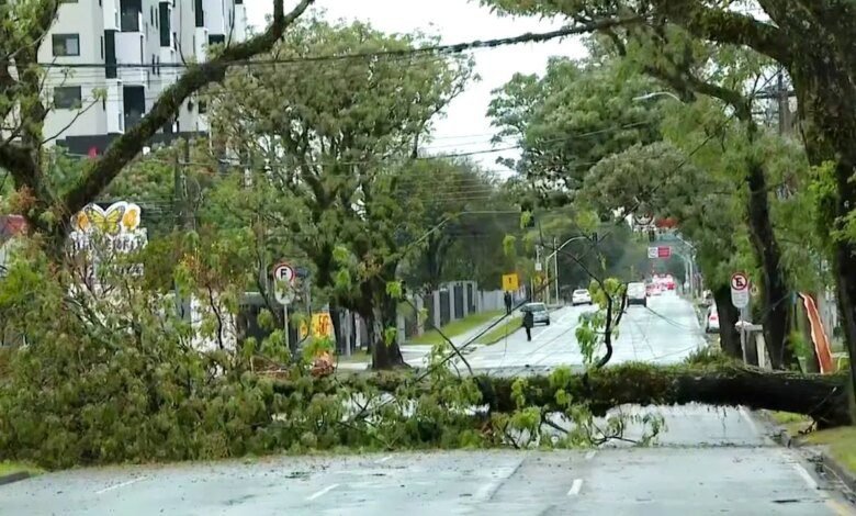 vento de 74km/h derruba árvores e deixa milhares sem luz