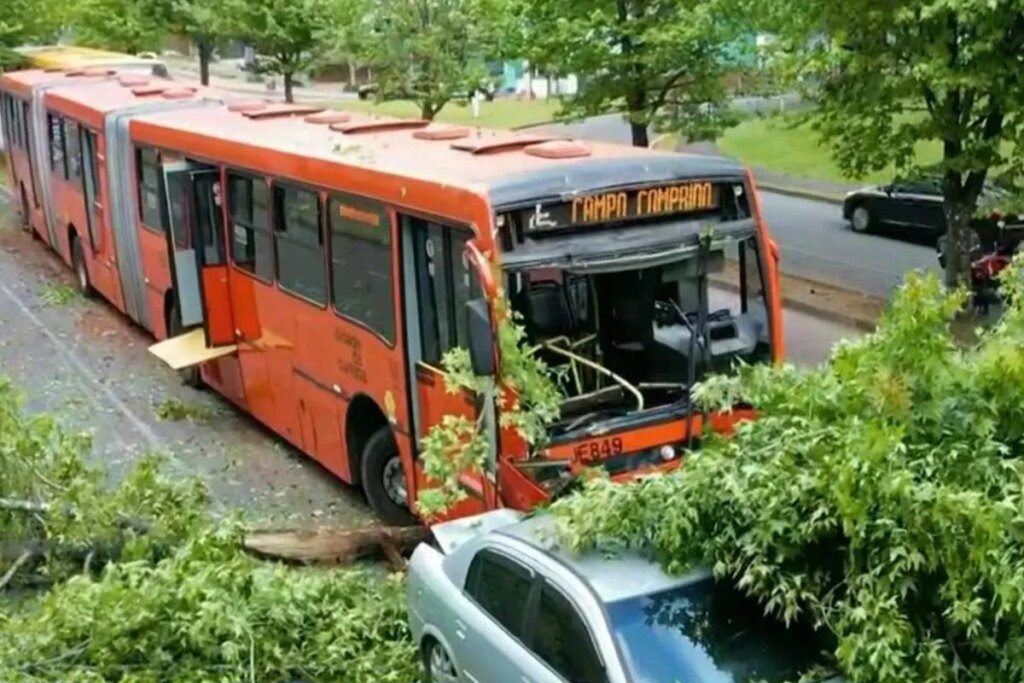 Acidente com biarticulado bloqueia rua mais instagramável de Curitiba