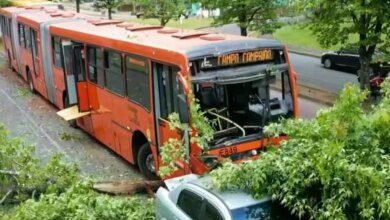 Acidente com biarticulado bloqueia rua mais instagramável de Curitiba