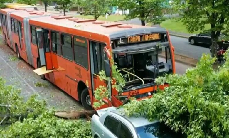 Acidente com biarticulado bloqueia rua mais instagramável de Curitiba