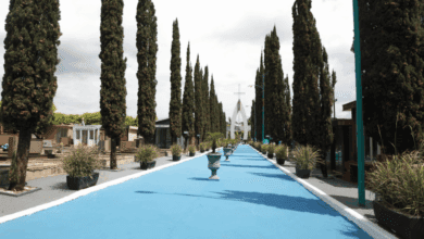 Cascavel inicia homenagens no Dia de Finados com missas diárias no Cemitério Central. Confira a programação completa - Foto: Secom