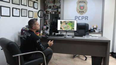 Engenheira burla sistema e desmata 300 mil m² de área protegida no Paraná