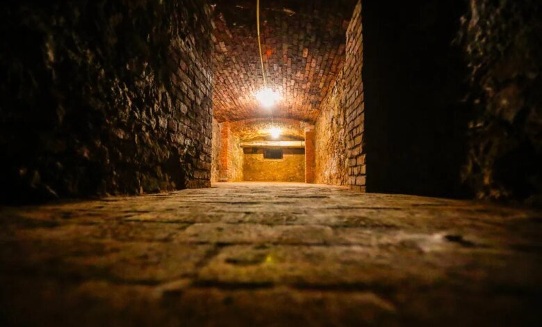 Reportagem da Tribuna inspira livro de estudantes da PUCPR