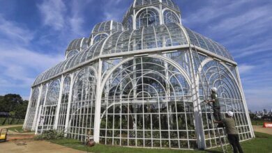 Estufa do Jardim Botânico vai fechar durante uma semana