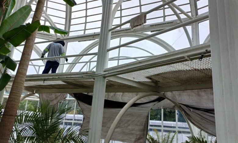 Estufa do Jardim Botânico vai ficar fechada até o fim do mês