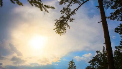 Índice UV atinge nível 10 em Curitiba neste domingo