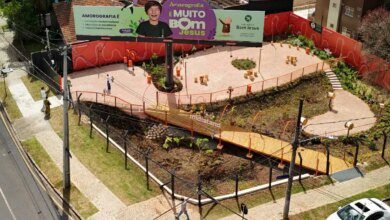 Novo jardim comunitário em Curitiba tem horta e área de descanso