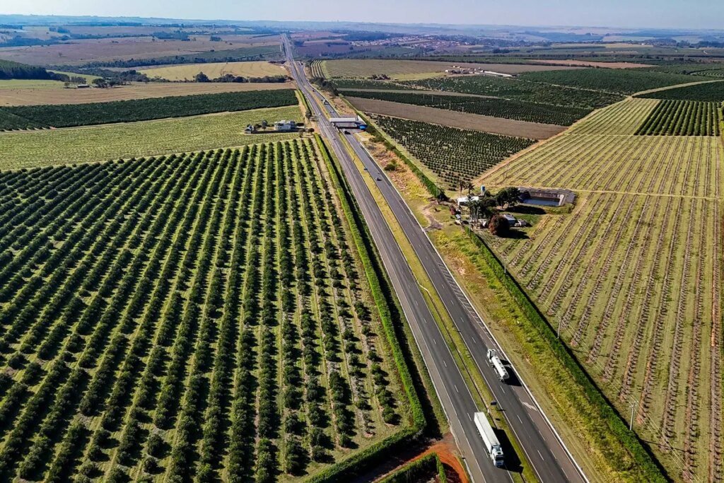 Grupos disputam leilão de 627 km de rodovias no Paraná na quinta