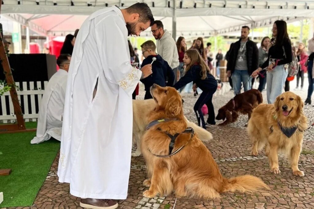 Locais em Curitiba para bênção de pets onde levar o pet para receber bênção em Curitiba