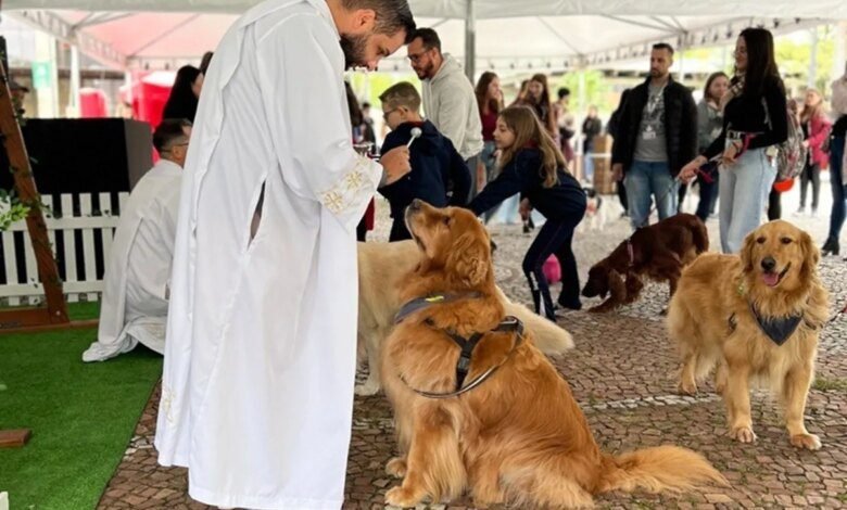 onde levar o pet para receber bênção em Curitiba