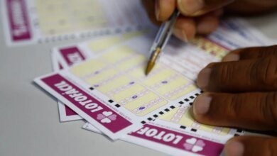 Resultado Lotofácil 3513: veja dezenas desta quarta-feira