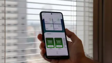 Foto: Gaby Smek/Sefa-Pr