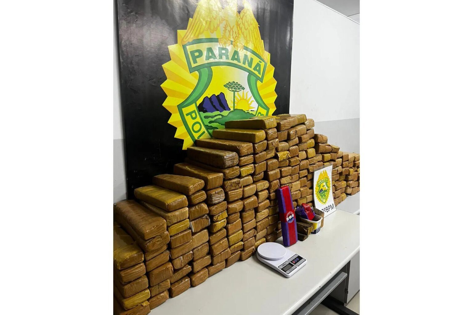 Operação da PM gera 300 prisões e apreensão de 551kg de maconha