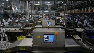 Paraná bate recorde e oferta 26,7 mil vagas de trabalho