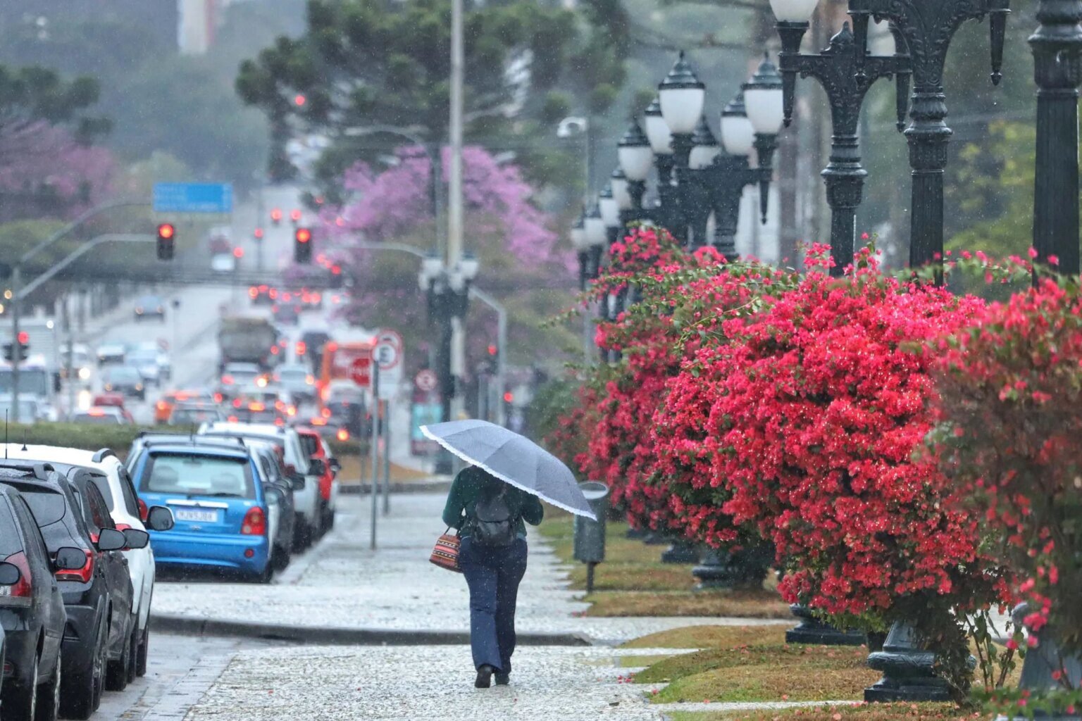 Previsão do tempo: chuva e calor no Paraná em outubro Vem mais chuva e calor para o Paraná em outubro: veja a previsão