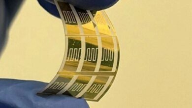 Sensor desenvolvido na UFPR identifica metanol na bebida em segundos