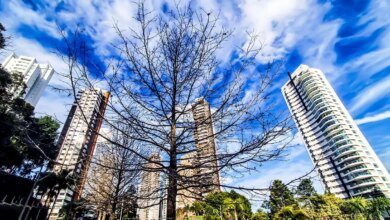 sol volta, mas por pouco tempo