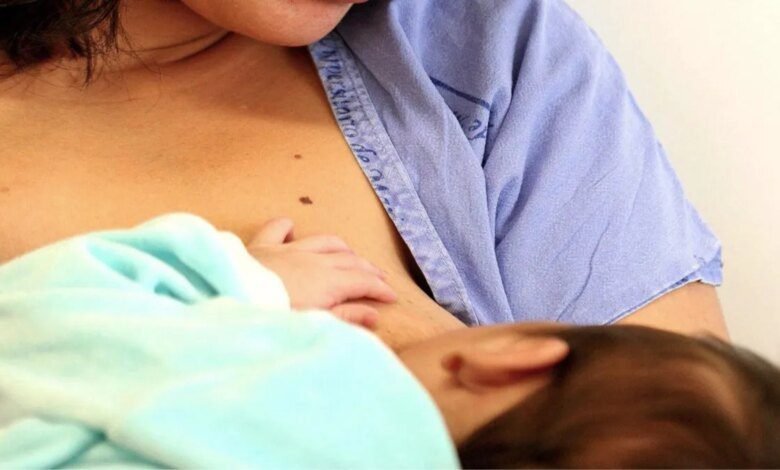 Projeto quer transporte gratuito em Curitiba para doadoras de leite