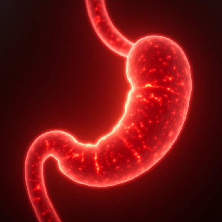 Ilustração da inflamação do estômago na pangastrite.