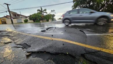 bueiro cede e árvore bloqueia avenida