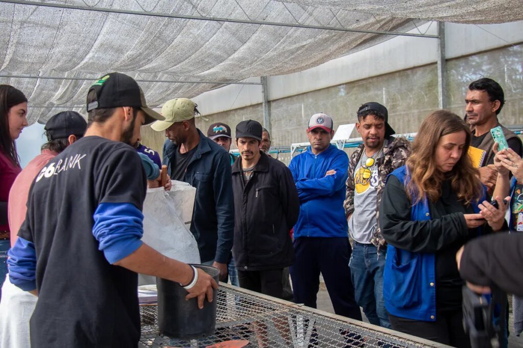 Cajuru oferece cursos gratuitos na fazenda urbana em dezembro Fazenda Urbana do Cajuru oferece cursos gratuitos em dezembro