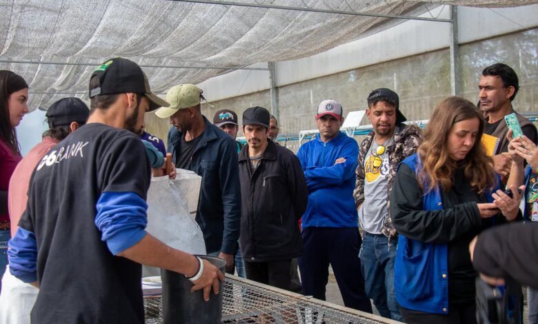 Fazenda Urbana do Cajuru oferece cursos gratuitos em dezembro