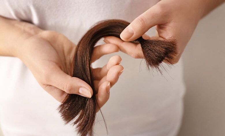 A Câmara aprovou o Projeto de Lei 140/2025, que institui a Semana de Incentivo à Doação de Cabelo para pessoas com câncer - Foto: Divulgação/CMC/Senado